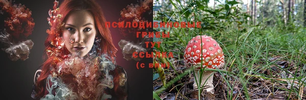 ешки Алексеевка