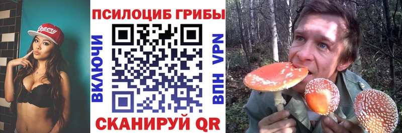 где купить наркоту  Билибино  Галлюциногенные грибы Magic Shrooms 